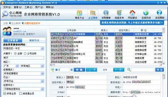 數字化浪潮下的精準觸達 企業網絡營銷軟件與計算設備的多維市場解析